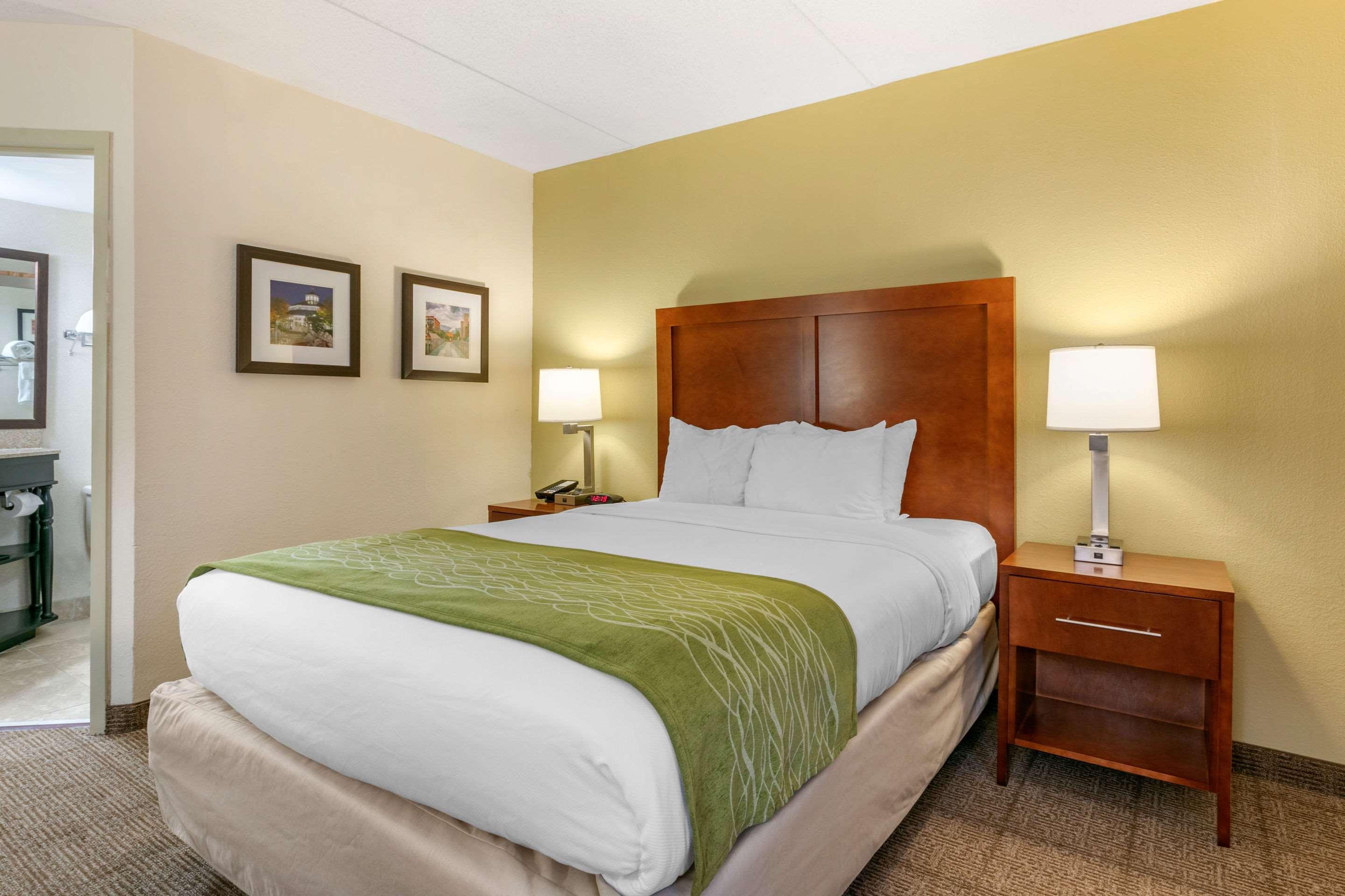 Comfort Inn Downtown Chattanooga Dış mekan fotoğraf
