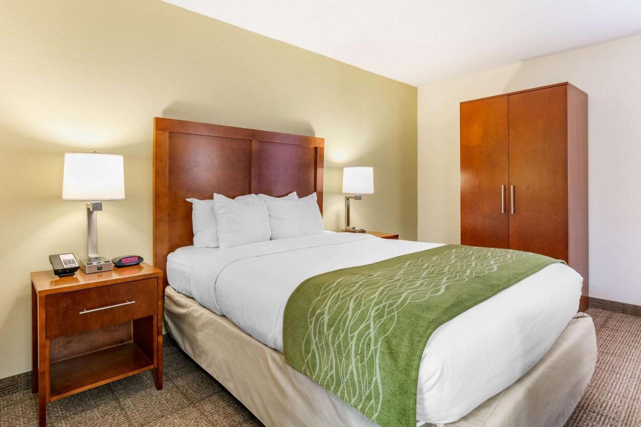 Comfort Inn Downtown Chattanooga Dış mekan fotoğraf